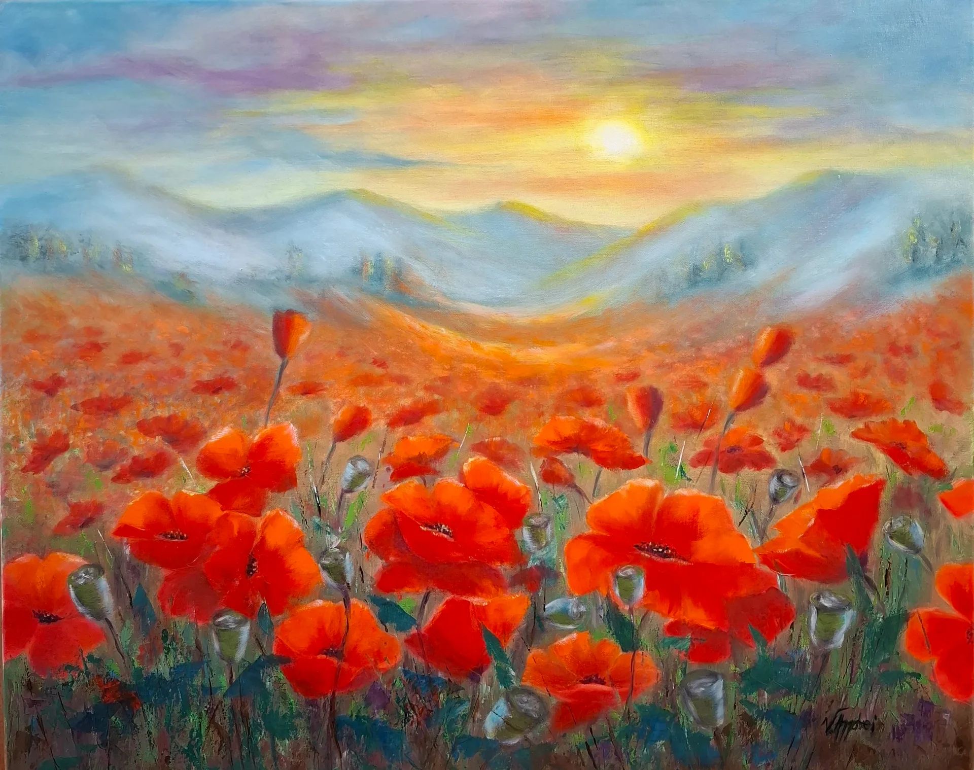 Coquelicots