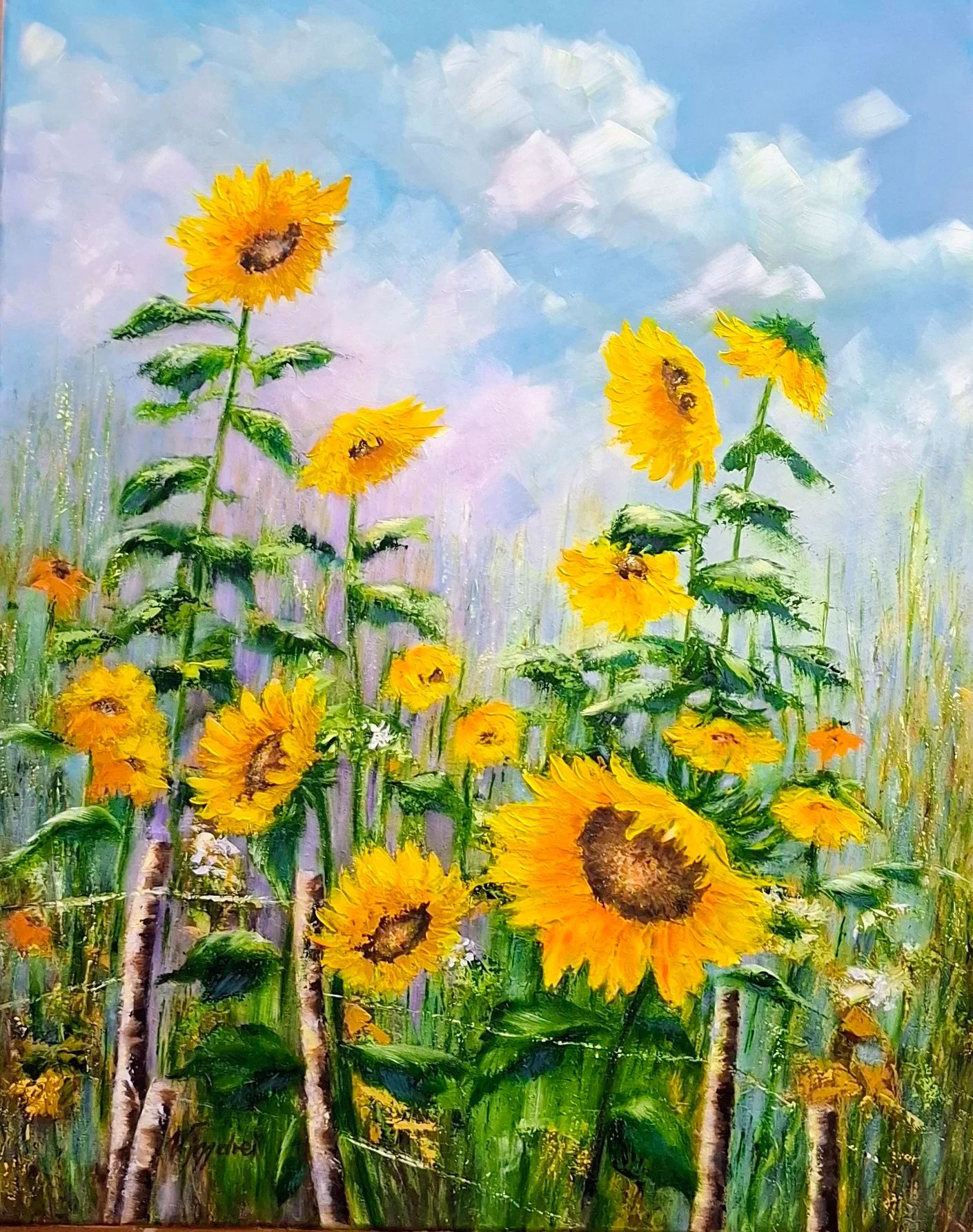 Tournesol